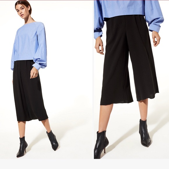 Aritzia Pants - ⚡️ Aritzia Babaton Lazarus Culottes *BLUE*